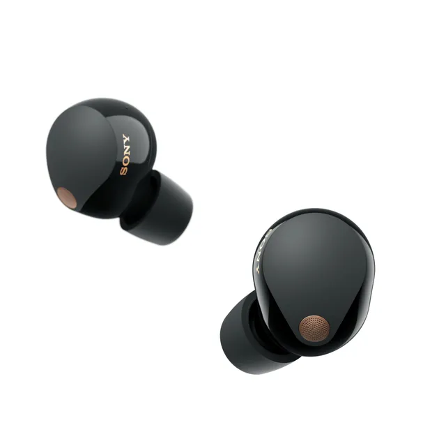 sony-wf-1000xm5-true-wireless-noise-cancelling-earbuds-premium-anc-ldac-bluetoot image 1
