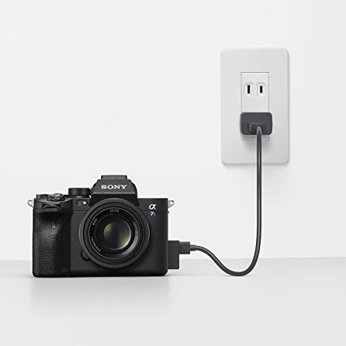 sony-alpha-7s-iii-full-frame-mirrorless-camera-body image 8