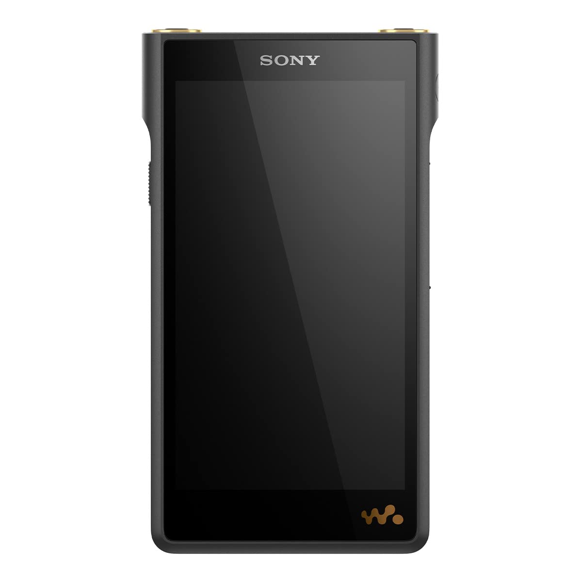 sony-nw-wm1am2-hi-res-128gb-walkman-digital-mp3-music-player image 4