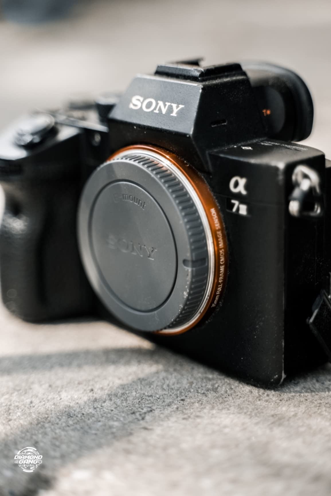 Dream camera