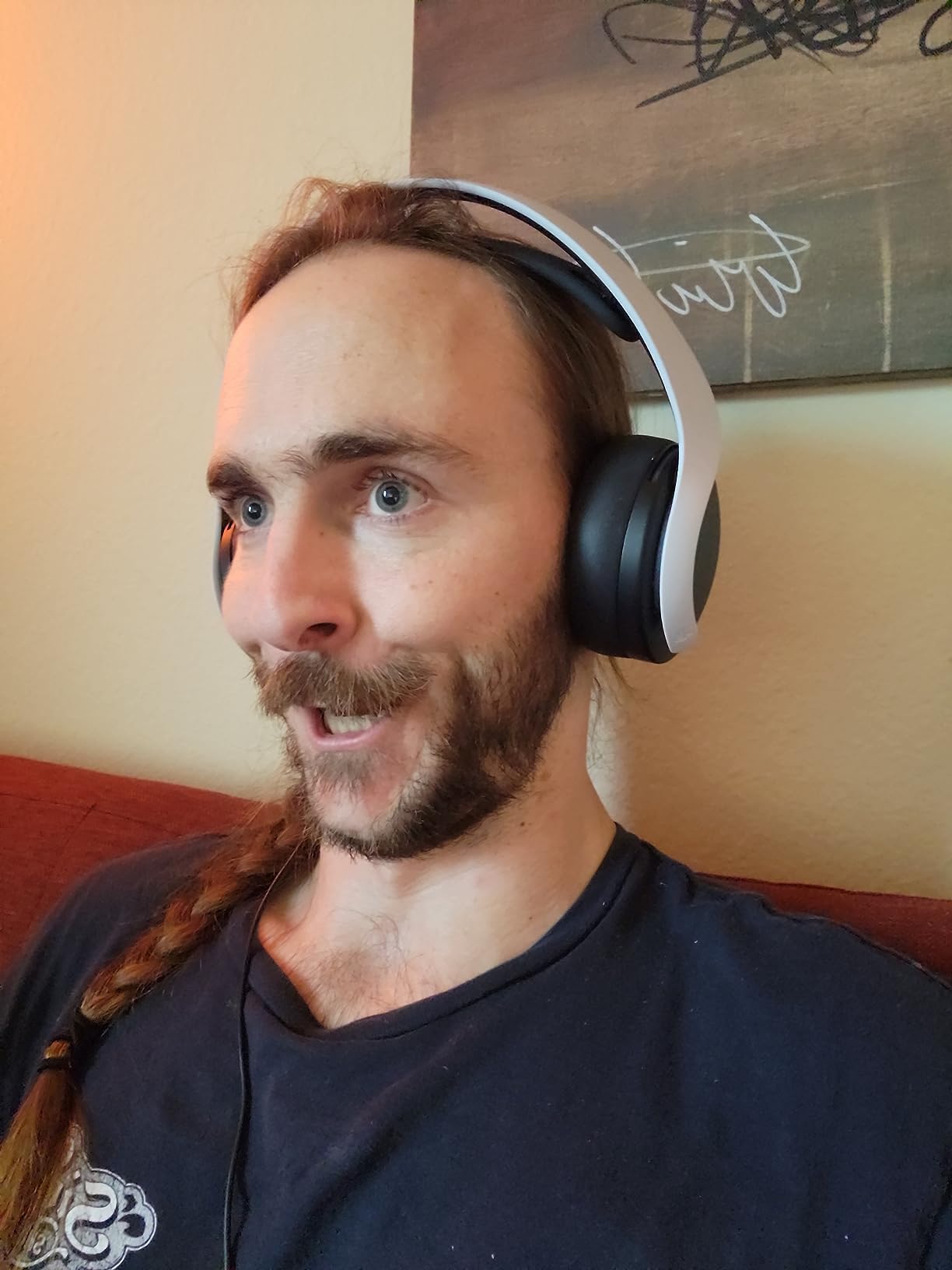 Great sound, short cord