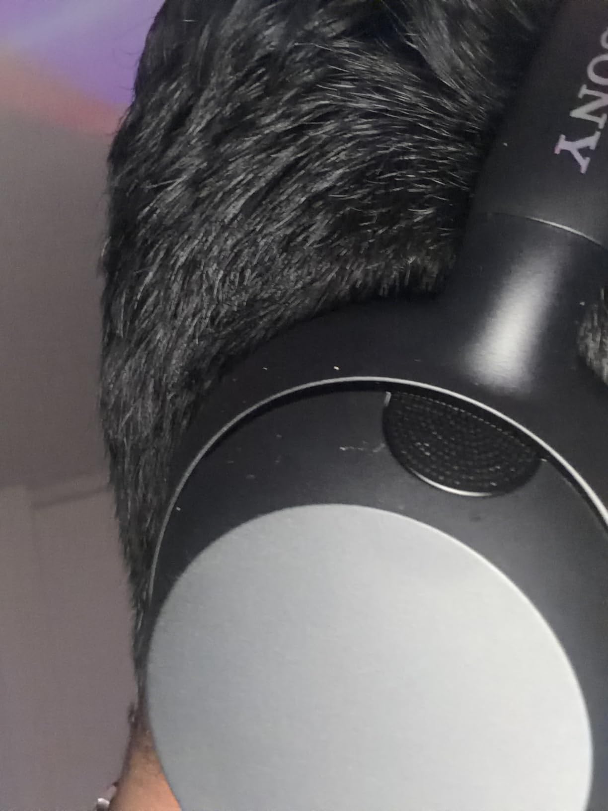Best headphones for the price