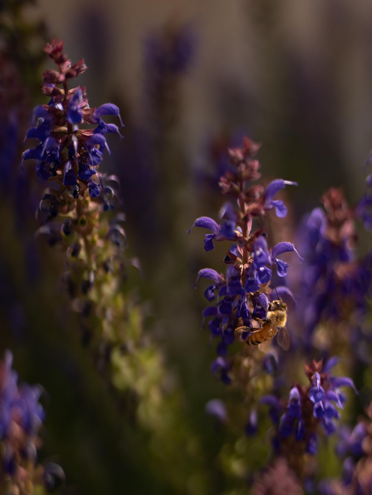 Beautiful images, but heavy