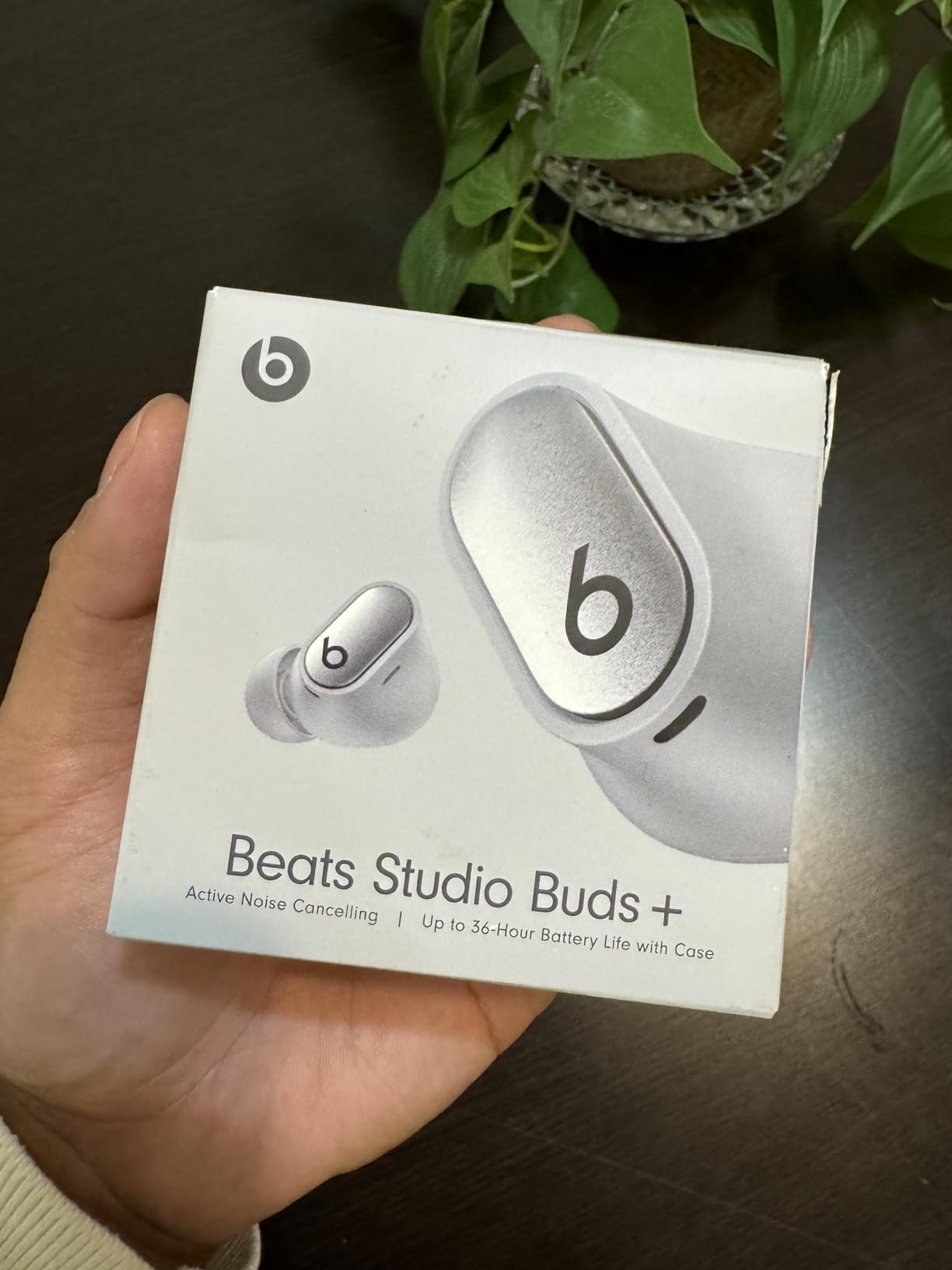Decent earbuds