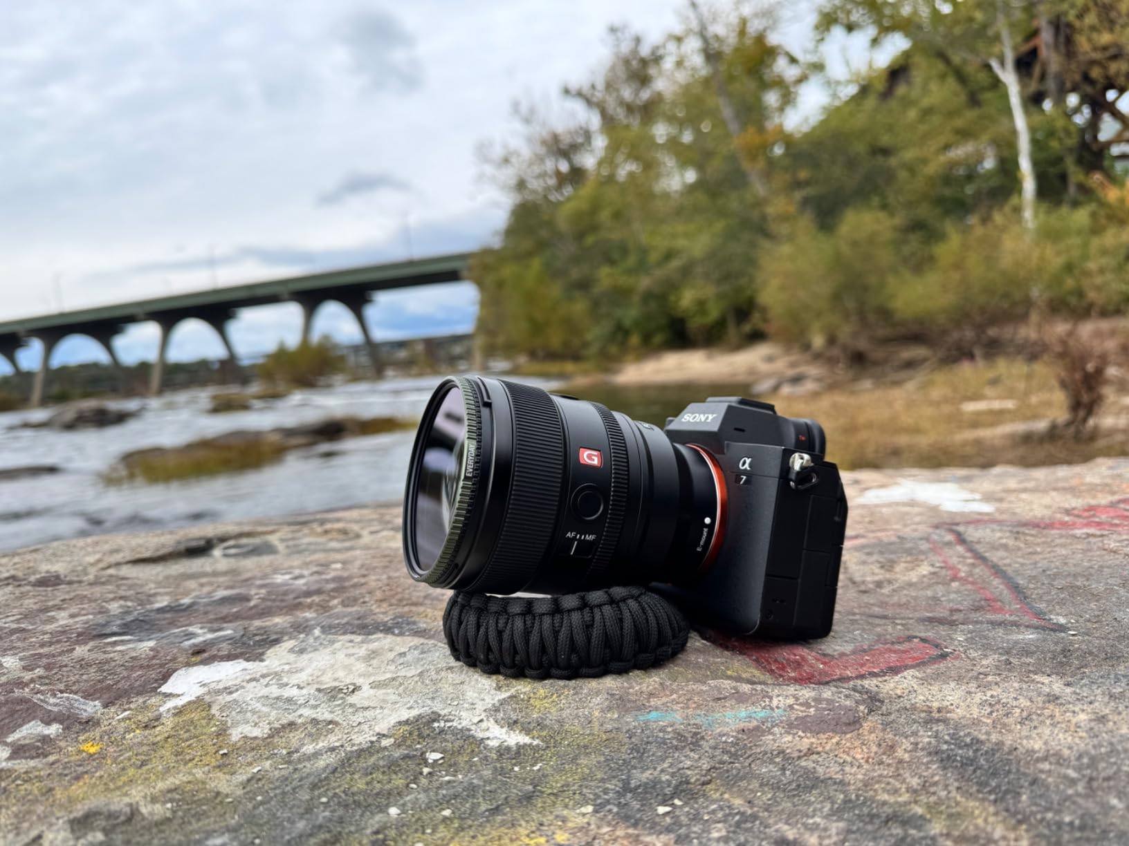 Absolutely stunning bokeh