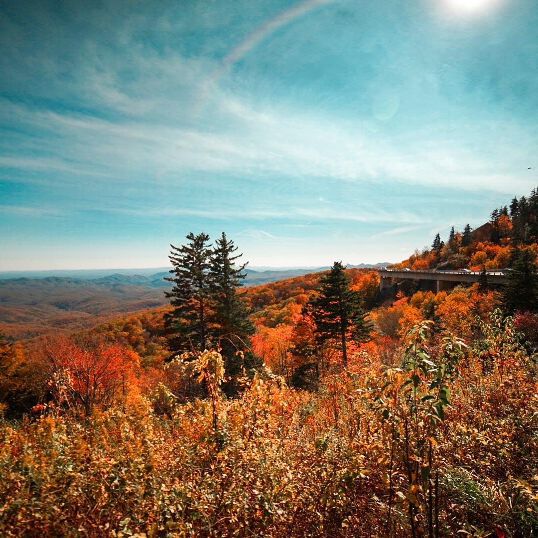 Breathtaking images